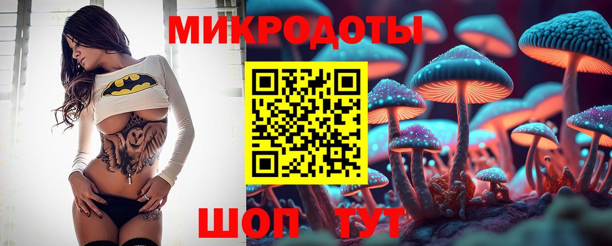 Галлюциногенные грибы Cubensis  Вход с VPN  Щёлково 